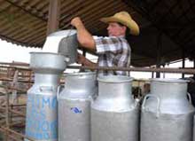 Reconocen resultados de Camagüey para elevar calidad de la leche